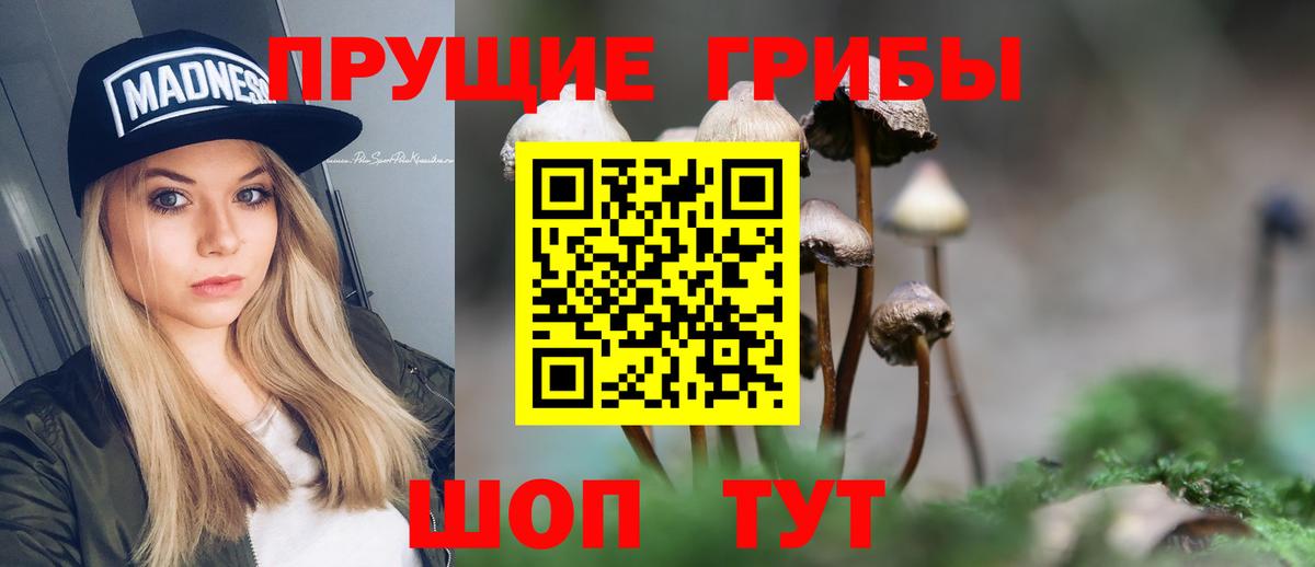 Псилоцибиновые грибы Cubensis  Вход с VPN  Псилоцибиновые грибы прущие грибы  Приморско-Ахтарск 